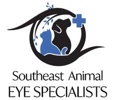 Southeast Animal Eye Specialists